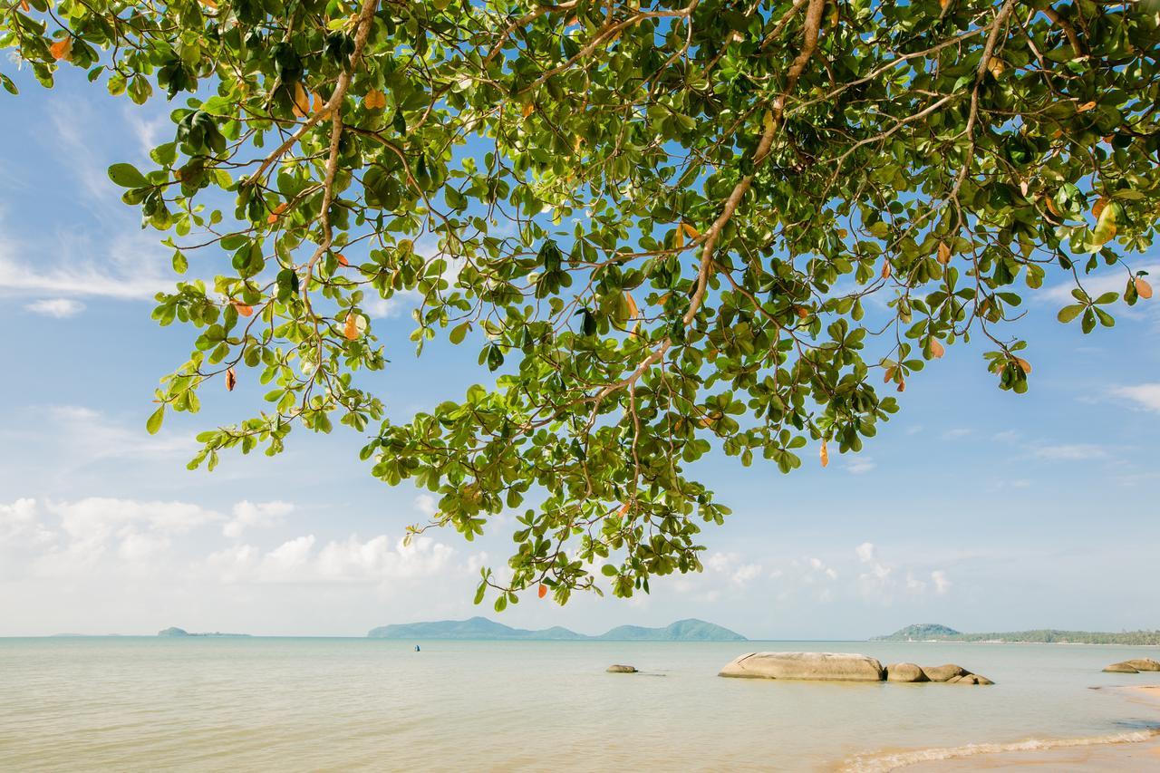 D.Samui Hostel Чавенг Бийч Екстериор снимка